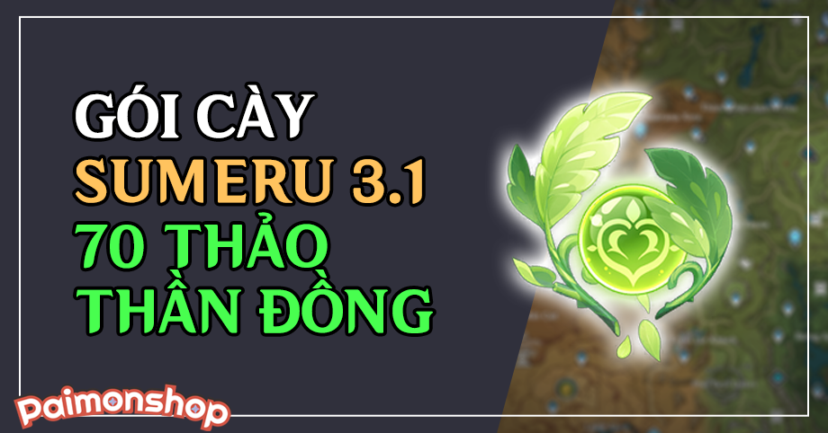 Gói cày Sumeru 3.1 (70 Thảo Thần Đồng)