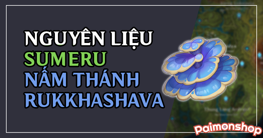 Gói cày nguyên liệu Sumeru (1 Nấm Thánh Rukkhashava)
