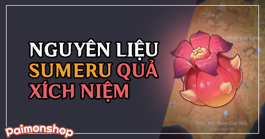 Gói cày nguyên liệu Sumeru (1 Quả Xích Niệm)