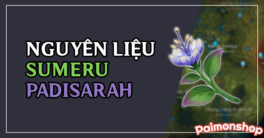 Gói cày nguyên liệu Sumeru (1 Padisarah)